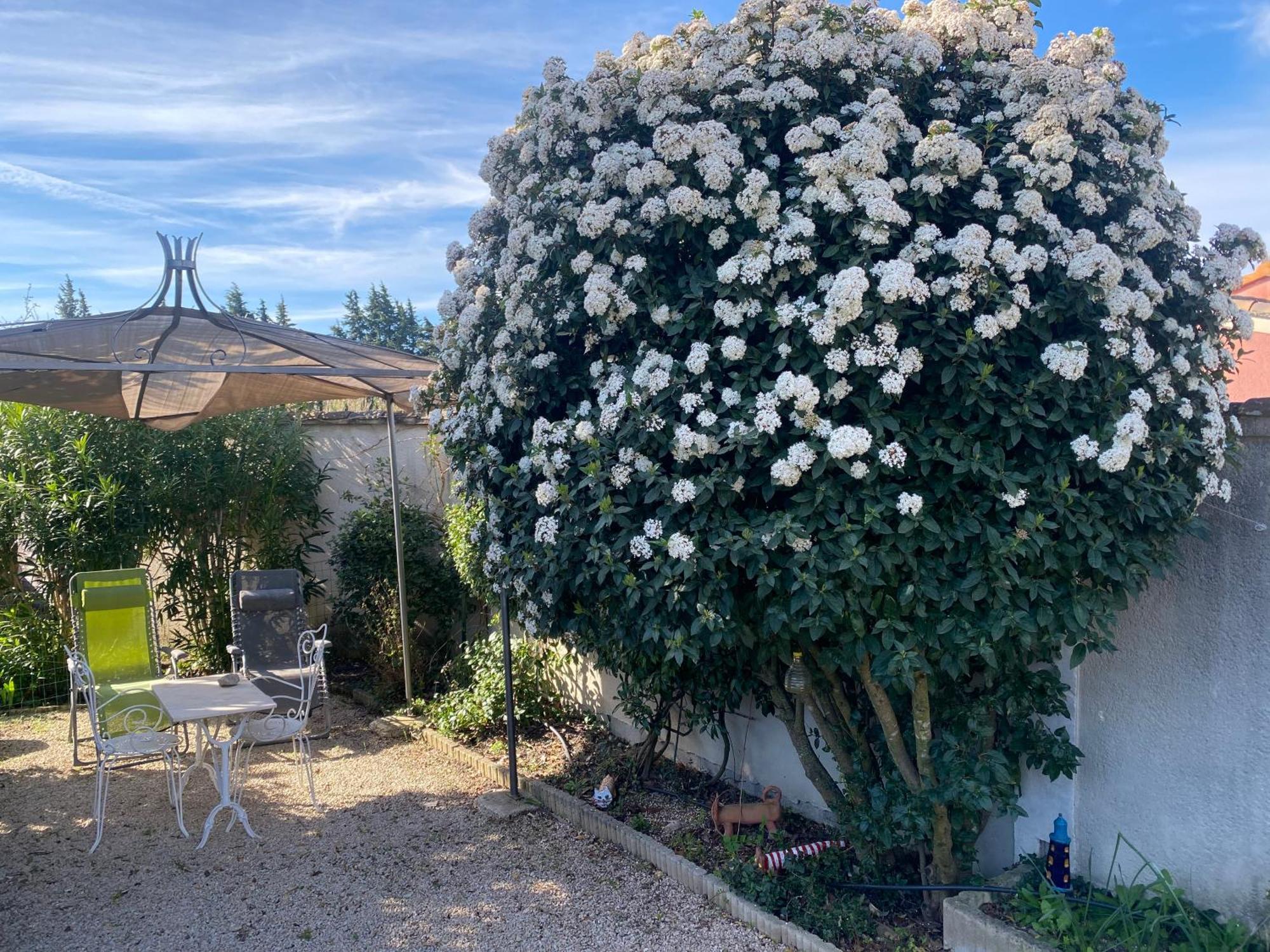 La Roubine, Velleron Villa ภายนอก รูปภาพ