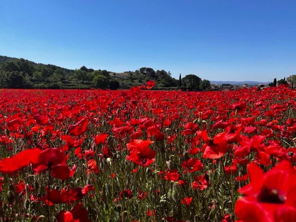 La Roubine, Velleron Villa ภายนอก รูปภาพ