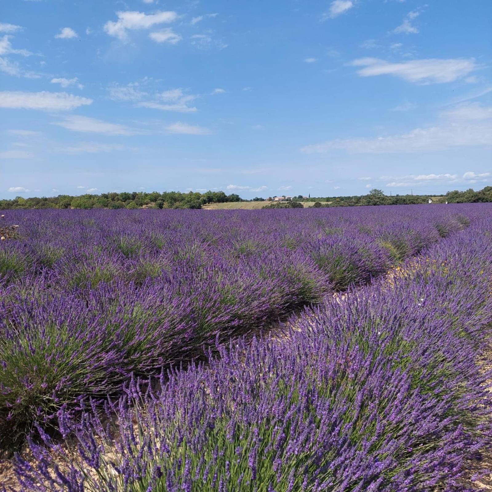 La Roubine, Velleron Villa ภายนอก รูปภาพ